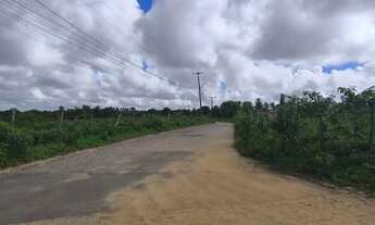 Imagem 3: Terreno na estrada da Terra dura Limoeiro 71.000m2
