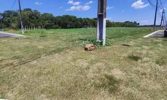 Imagem 2: Vendo lote comercial no Nova Amazonas I