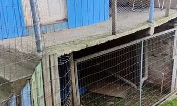 Imagem 5: Casa no canyon Casa com 2 dormitórios