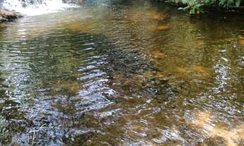 Imagem 7: Chacara de 3 hectares na estrada do manso 38 km da cidade de Cuiabá-MT