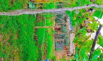 Imagem 7: Chácara a venda