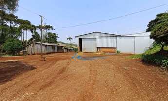 Imagem 10: Sítio à venda, 447700 m² por R$ 8.500.000,00 - São João Doeste - Cascavel/PR