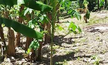 Imagem 4: Oportunidade Rara no Sana Terreno com 4.500 m² em Localização Privilegiada