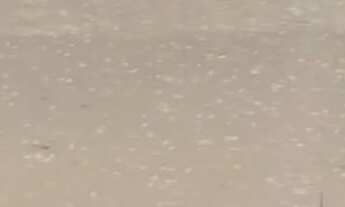 Imagem 2: SÍTIO 27,3 HECT. SADIA 2 Pego casa e veículo