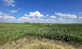 Imagem 5: Excelente oportunidade de Negócio Rural