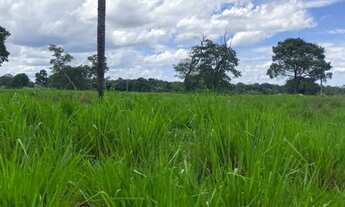 Imagem 5: Fazenda arrendamento 1.600hec em Poconé MT