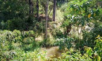 Imagem 2: Vendo chácara em Bocaiúva do Sul, 10.000 metros escriturada. Fica a 2 km da cidade