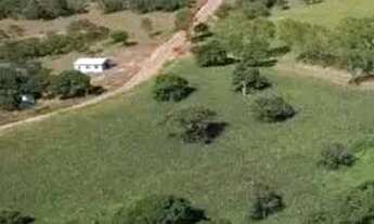 Imagem 2: Fazenda de 159 hectares em Buritis, Minas Gerais