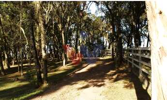 Imagem 5: Chácara dos Sonhos em São José dos Pinhais Natureza, Lazer e Conforto