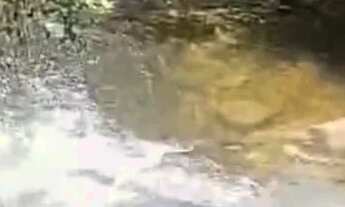 Imagem 4: Sitio em cassia dos coqueiros 1,2 alqueires 400.000.00