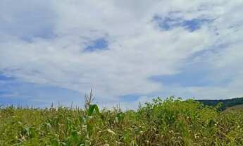 Imagem 7: Terrenos para seu chales - Ibiúna - SP