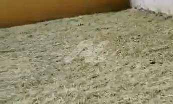 Imagem 2: Terreno - Parque Alto Taquaral - Campinas