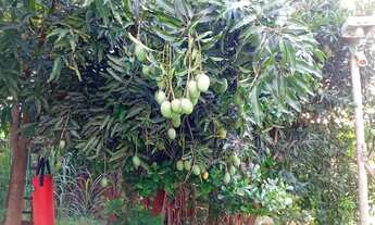 Imagem 4: Casa pequena e simples em 2 lotes de 360 metros cada, murado, próximo ao asfalto, com agua