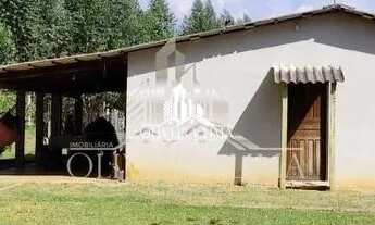 Imagem: Chácara com 1 Dormitorio(s) localizado(a)