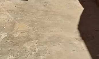 Imagem 7: Casa grande independente