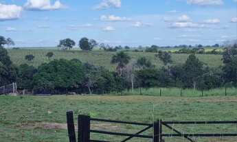 Imagem 3: FAZENDA À VENDA BEIRA DO RIO CUIABÁ