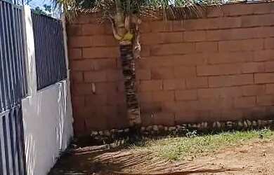 Imagem 4: CASA COM PLACA SOLAR