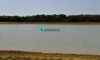 Imagem: FAZENDA À VENDA - 827 HECTARES - ABAETÉ