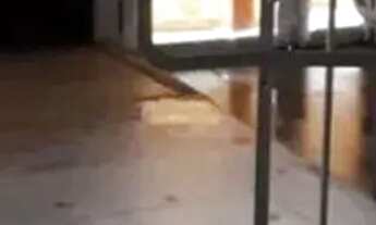 Imagem 5: PRÉDIO - VILA FORMOSA - SP