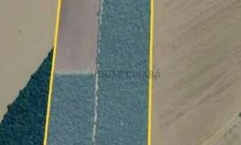 Imagem 3: Fazendinha de 121 hectares 30 km do centro da cidade de Nobres MT