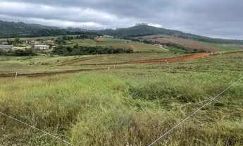 Imagem: 85C- VENHA PARA COTIA - LOTES ESPECIAIS