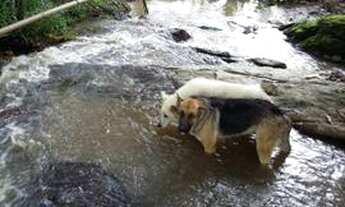 Imagem: Lindo citio em taquara de altinho próximo