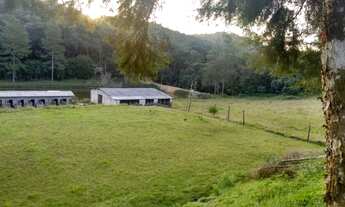 Imagem 2: Super sitio 4 hectares 477 mil reais aceita 120 de entrada