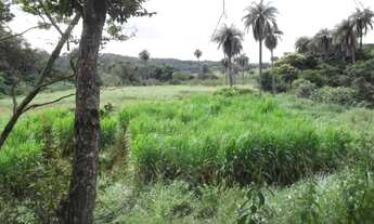 Imagem 3: Serra d Cipó!!! chácara de 27 mil metros toda margeada com córrego * WhtsApp