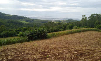 Imagem 6: Área de terras com 14 hectares localizada em São José do Sul