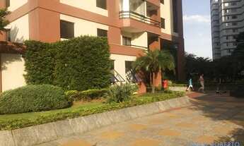 Imagem: APARTAMENTO - JARDIM ÍRIS - SP