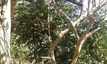 Imagem 7: Chácara Chapada dos Guimarães