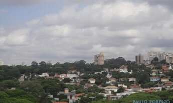 Imagem 4: COBERTURA - ALTO DA LAPA - SP
