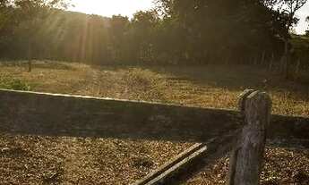 Imagem 3: ÁREA EM ABADIA DE GOIÁS