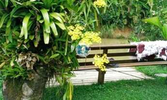 Imagem 3: LINDA CHÁCARA LOCALIZADA DEPOIS DE AMPARO, SENTIDO SANTA RITA DE JACUTINGA