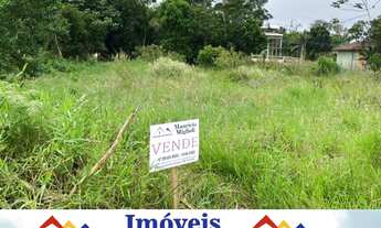 Imagem 2: Vendo lote na Praia do Ervino