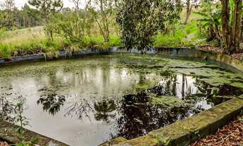 Imagem 2: Fazenda/Sítio/Chácara para venda com 72600 metros quadrados com 4 quartos