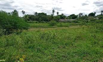 Imagem: Ótima Fazenda com 200 hectares na região