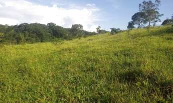 Imagem 7: Fazenda para venda possui 29 Alqueires em Cocalzinho de Goiás