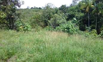 Imagem 4: Vendo terreno em Ananindeua !