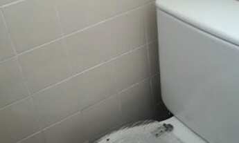 Imagem 6: APARTAMENTO - BROOKLIN - SP