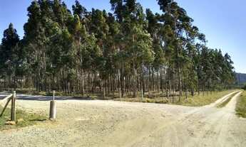 Imagem: Área 12.000m² Alto Arroio/Imbituba próximo101