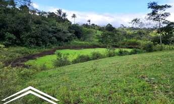 Imagem 7: Sitio em Chã Grande com 6,5 hectares
