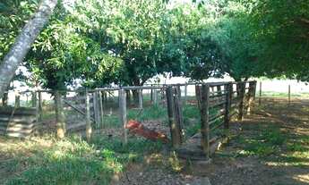 Imagem 6: Sítio - chácara - fazenda em Abadiania 5 alqueire