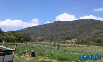 Imagem: SÍTIO - RATONES - SC