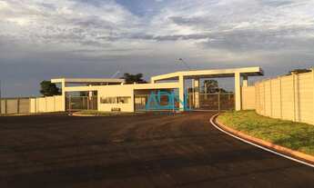 Imagem 7: Terreno à venda, 684 m² por R$ 240.000,00 - Residencial Parque das Flores - Barretos/SP