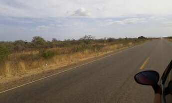 Imagem 5: Ótima Fazenda com 380 hectares na chapada de Apodi-RN