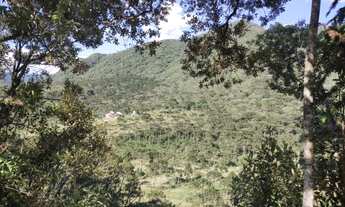 Imagem 6: Chácara 2,45 hectares à venda em Urubici-SC