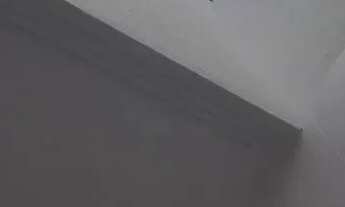 Imagem 7: Casa térrea pronta p morar, novinha 3D /1 suíte/ 3 vagas na Hípica - CA3889