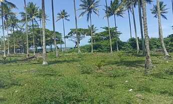 Imagem 7: Lote Terreno Chácara Sitio em Praia Formosa - Aracruz - Espírito Santo