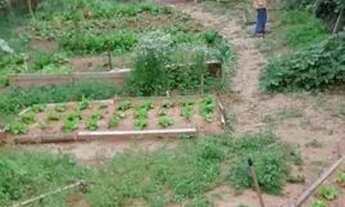 Imagem 3: São Paulo - Terreno Padrão - Cachoeirinha